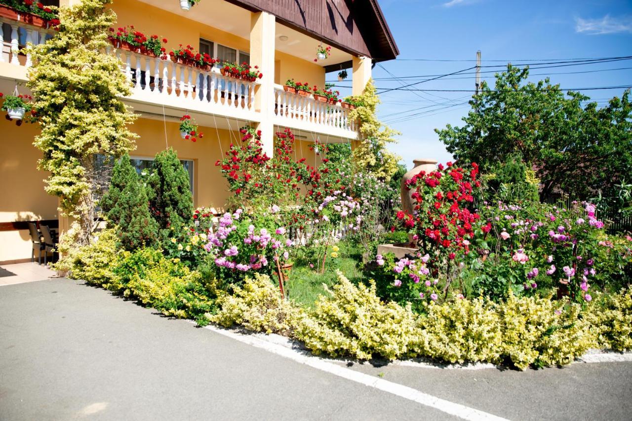 Motel Moara Veche Sacalaseni Exterior foto